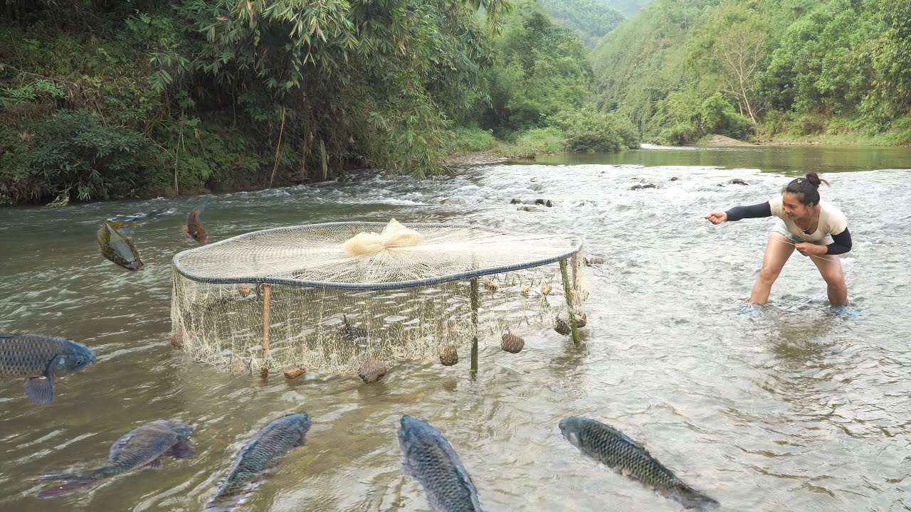 Secret Fish Traps Full Video: The #1 SECRET to Catching MASSIVE Fish With Simple Bamboo ...