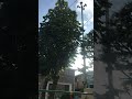 防災行政無線 東京都荒川区 17:00鳴動 「あらかわ〜そして未来へ」