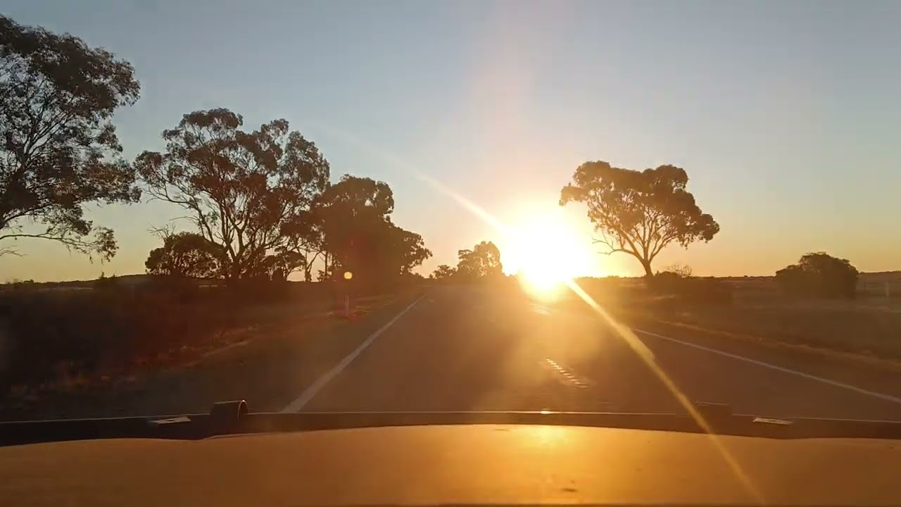 SATURDAY EVENING DRIVE IN THE RIVERINA NSW AUSTRALIA 🦘