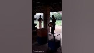 ഭഗവാന്റെ ഉഷ:പൂജാവേള - നാദ സ്വരാർച്ചന .... സൊഗസു ജൂഡ തരമാ ...  (Sogasu JUDa Tarama....)