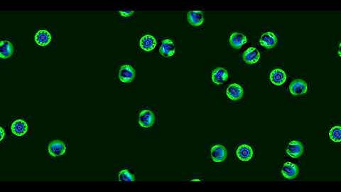 Wobbly Solitons in a Cellular Automaton