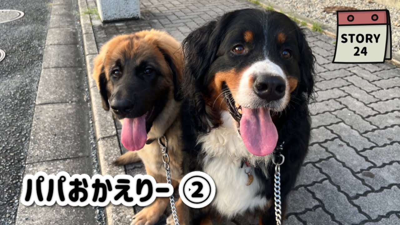 【ななエル物語】出張帰りのパパを姉妹でお出迎え♪