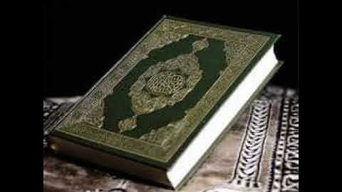 سورة نوح الشيخ ممدوح عبداللاه الهاشمي مم