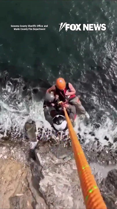 WATCH: Helicopter saves hikers from remote beach #shorts #viral #foxnews #news #fox #beach #rescue
