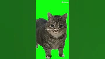 Linggang Guli Guli Guli Uia 