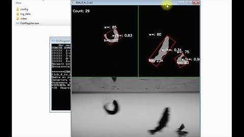 FishRegister (Подсчет особей рыбы по видео)/Counting moving objects with the camera