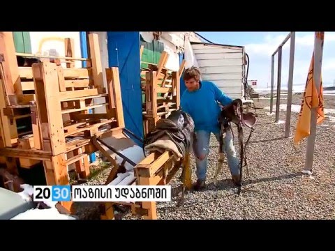 თამარ ცხომარია - ოაზისი უდაბნოში - პოლონელის ქართული არჩევანი /2030 (18.02.2016.)/