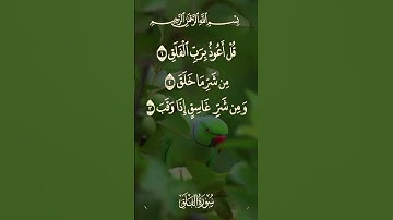 القرآن الكريم ❤️#اللهم اجعل القرآن الكريم ربيع قلوبنا ونور صدورنا يااارب 🤲🤲