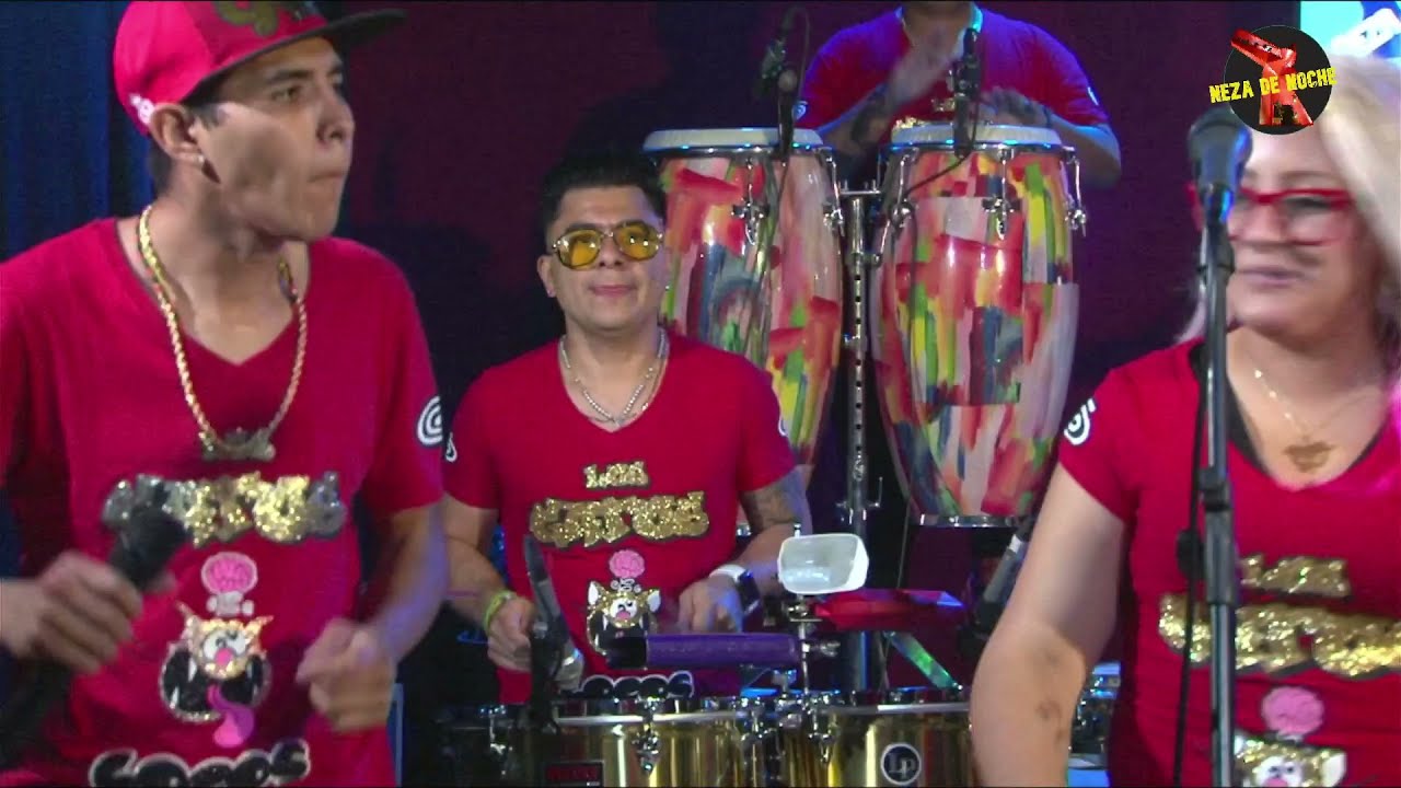 Los Gatos Locos -Ferrocarriles- 🔴 LIVE