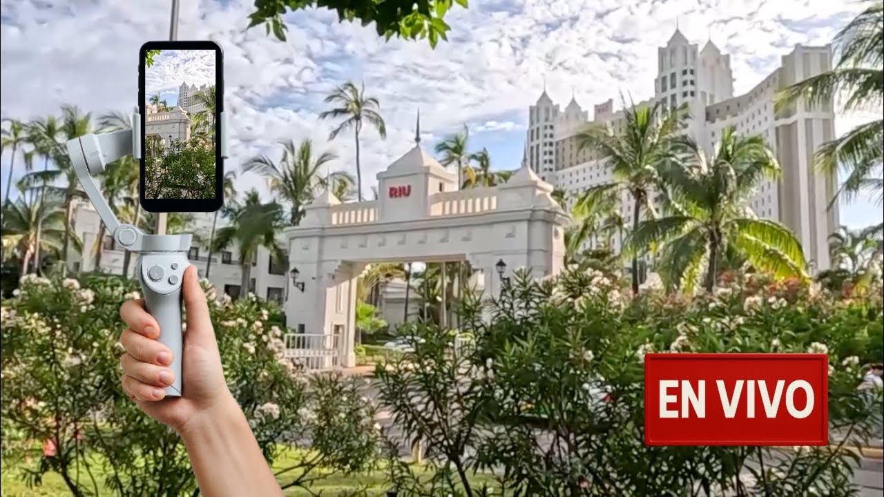 El Pulpo de Mazatlán (y de la CDMX) está en vivo