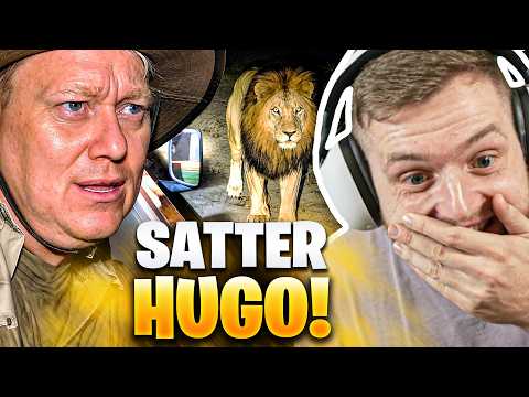 🤯🥵KNOSSI TRIFFT auf LÖWEN bei seiner SAFARI! - Satter HUGO REAKTION | Trymacs Stream Highlights