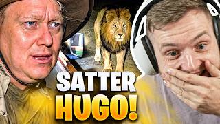 🤯🥵KNOSSI TRIFFT auf LÖWEN bei seiner SAFARI! - Satter HUGO REAKTION | Trymacs Stream Highlights