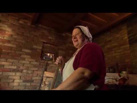 Video: Iekšzemes Bārdains Pūķis - Pogona Vitticeps Rāpuļu šķirne, Hipoalerģiska, Veselība Un Mūžs