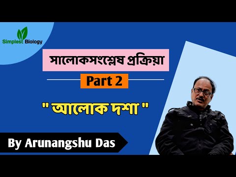 ভিডিও: সালোকসংশ্লেষণে ইলেকট্রন বাহক কি কি?