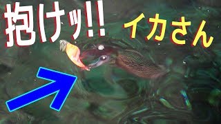 【フカセダービーファイナル】北部磯釣りリベンジ