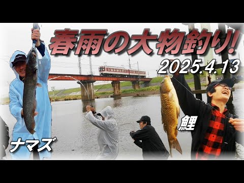 Spring Catfish & Carp Fishing in Yamatogawa, Osaka] The rain