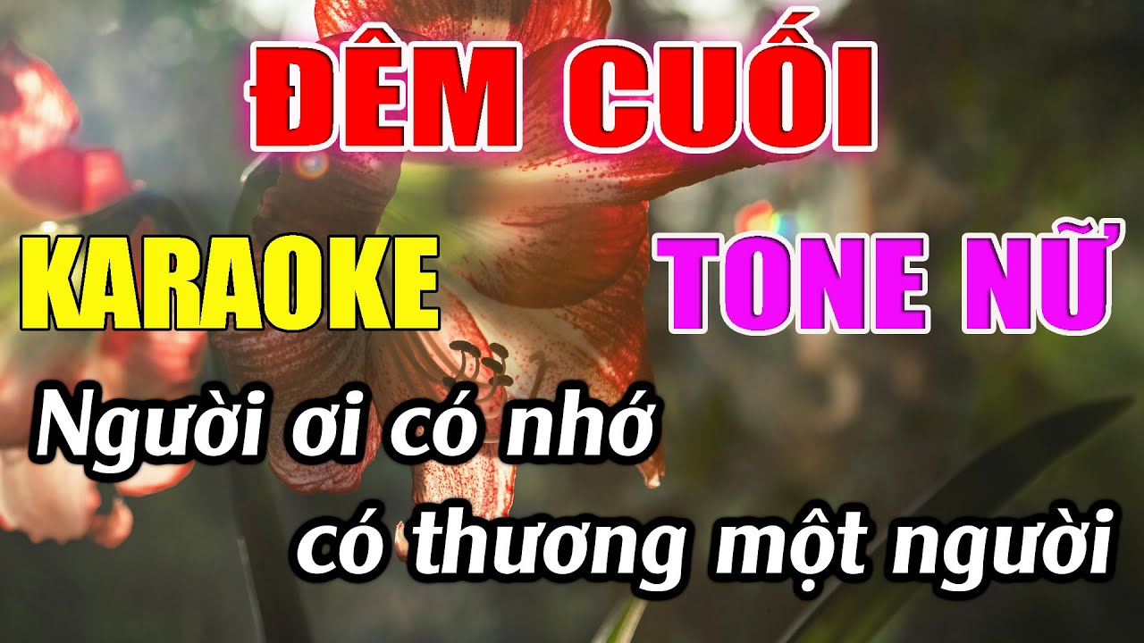 Đêm Cuối Karaoke Tone Nữ ( Dm ) Karaoke Đức Duy - Beat 2024