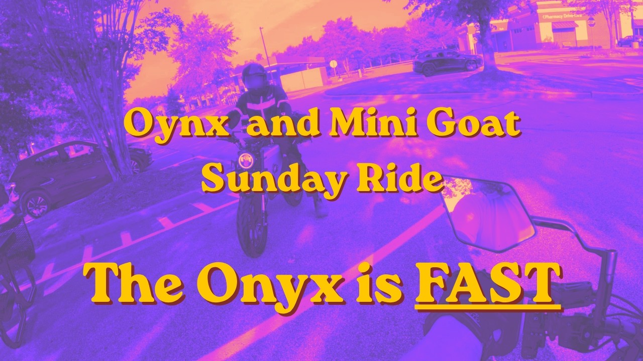 Onyx and Mini Goat Sunday Ride