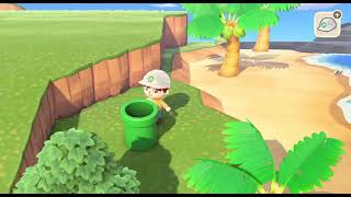 Mysterious Warp Pipe