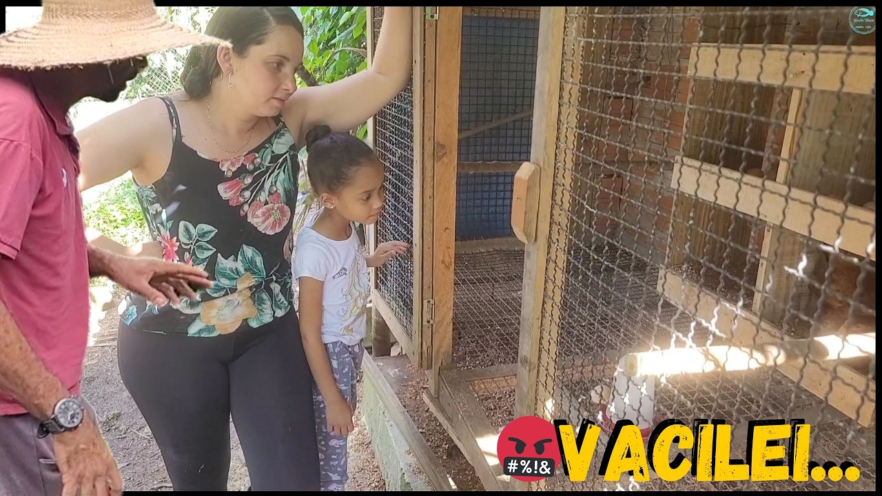 Um descuido e tudo tá perdido !!! dia a dia da Família #rural #family @FAMÍLIA TILÁPIA Minha Vida !