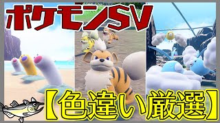 【ポケモン色違い厳選】ポケモンSV　色違いポケモン厳選　ゴールデンなチャンス！？大量発生イベント！