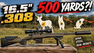 I Pushed This 16.5" .308 to 500 Yards