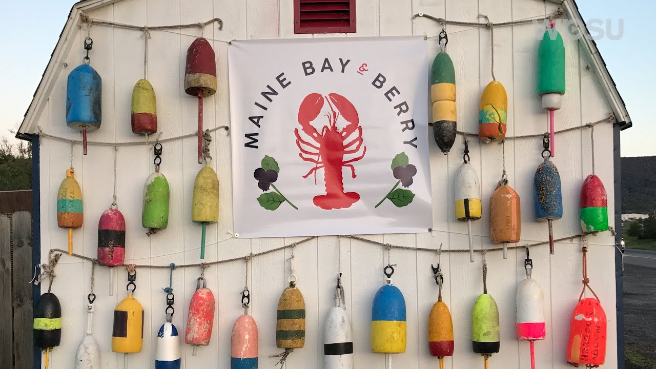 Maine Bay & Berry | I’m Your Neighbor
