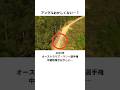 ラリー中継のカメラアングル、おかしくない…?🤯