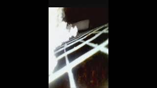 Nh Honey Bees In Hive, March Madness