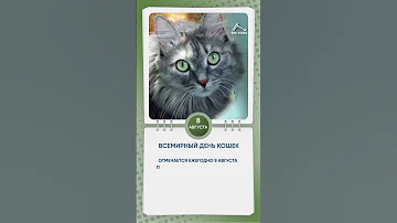 Всемирный день кошек