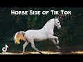 Horse Side of Tik Tok