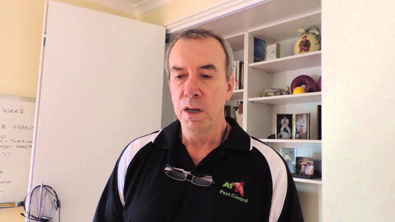 Termite Inspection Tips