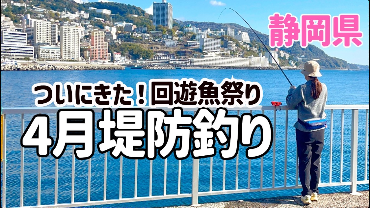 ⑭防波堤/堤防走るのにどうぞ ZOOKオリジナル 改変無 足付良し 軽量41kg ズーク 二種登録で30km制限無 オイルは足すだけ維持が楽 今の新車よりも壊れないホンダスクーター 仕掛け変更で釣果激変!!堤防に回遊魚がついに来た！2026年の釣りの