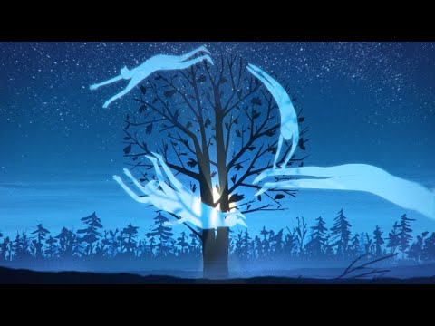 Jon Hopkins - Wintergreen (Official Video)