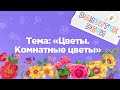 Занятия для дошкольников | Развитие речи | Тема: Цветы. Комнатные цветы