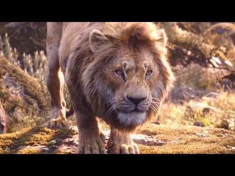 Why does Aslan from Chronicles of Narnia look better (in terms of CGI) than  Simba from the Lion King (movie 2019) even though the movie was released 14  years prior? - Quora