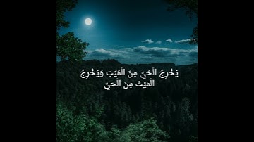 فَسُبْحَانَ اللَّهِ حِينَ تُمْسُونَ وَحِينَ تُصْبِحُونَ - القارئ عبدالرحمن مسعد من سورة الروم