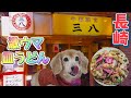 【犬モッパン】皿うどんを愛犬に作ったら!! #三八ラーメン #皿うどん #mukbang #モッパン