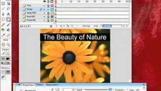 Adobe Flash-4 Make Text Readable