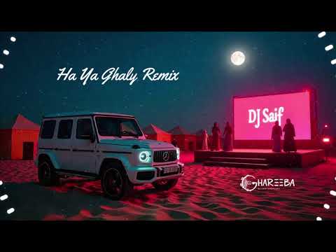       2025 ها يا غالي ريمكس