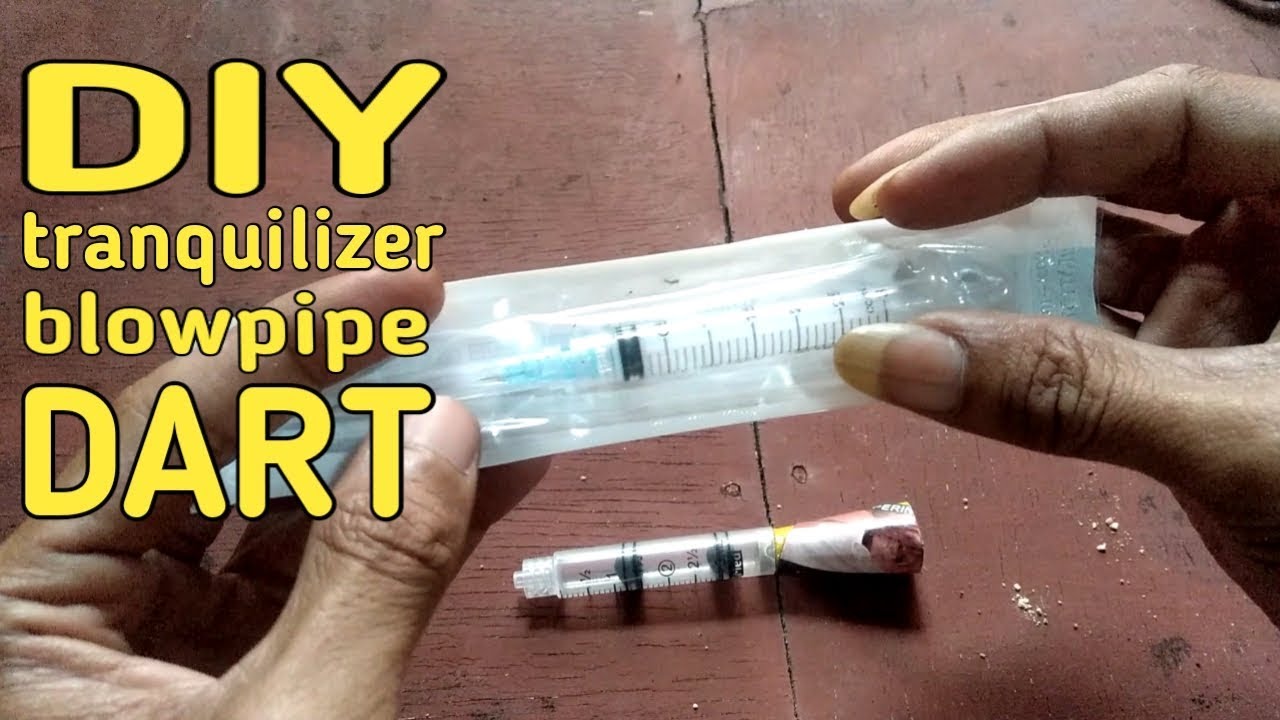 DIY, cara membuat dart bius, inject tranquilizer mini darts, peluru tulup b...