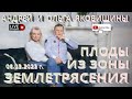 Плоды из зоны землетрясения. Андрей и Ольга Яковишины.