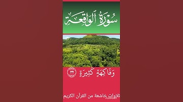 اجمل تلاوة خاشعة من القرآن الكريم #المصحف #صباح_الخير #اكسبلور