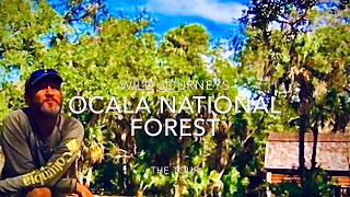 Wild Journey's Ocala National Forest 2020