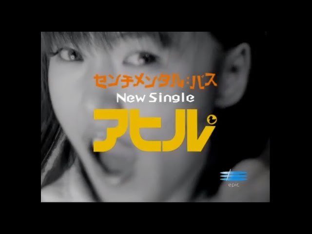 アヒルSENTIMENTAL:BUS