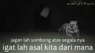 Story wa 30 Detik macan putih perabu siliwanggi