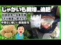 じゃがいも栽培｜追肥【激変】この“最強追肥”でサイズ収穫量が爆上げ！