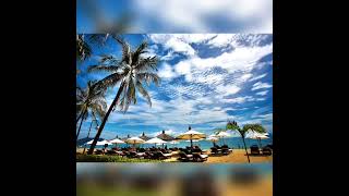 🏝️BOSSA NOVA PARTY🏝️ ＭＡＮＦＲＥＤ   ＭＩＮＮＩＣＨ screenshot 3