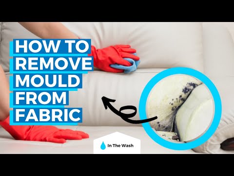 How to Remove Mould from Fabric