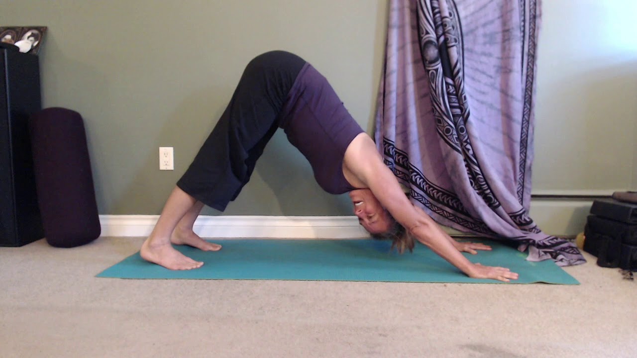 Downward Dog 101 - YouTube